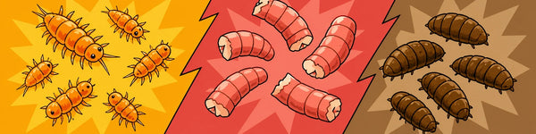 Protein-Futter