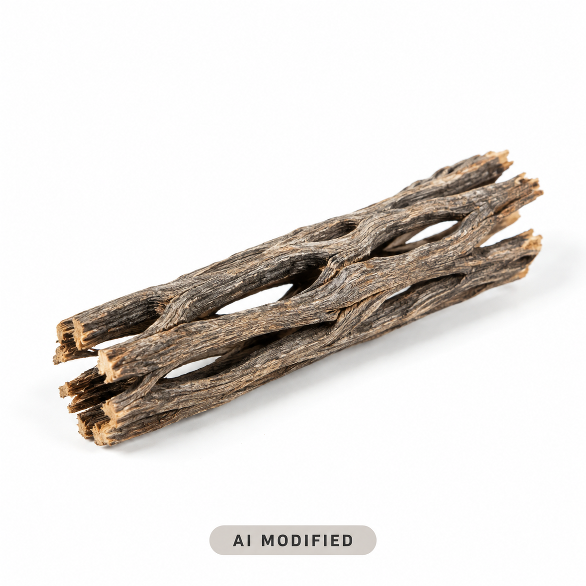 Vukaholz (Cholla Wood) 8 cm · Ø 1–2 cm – AI MODIFIED