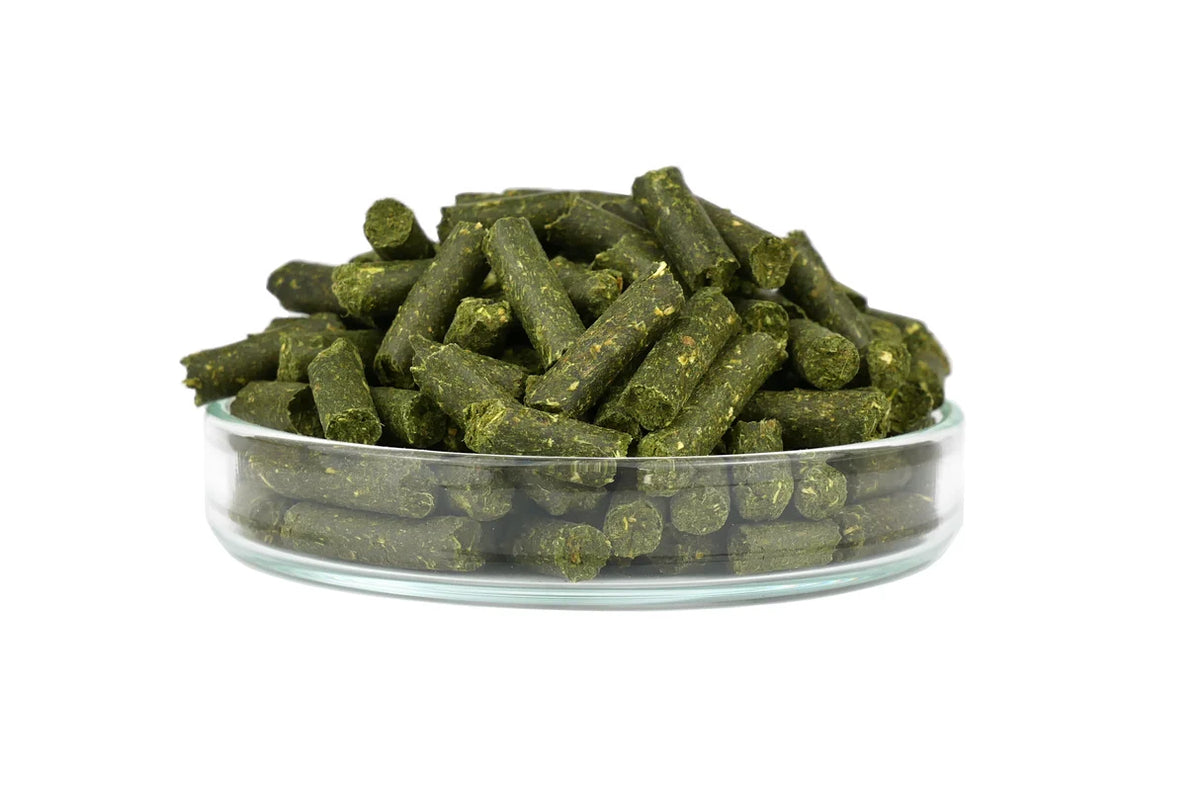 GARNELEN4YOU® Mineral Sticks 30 g