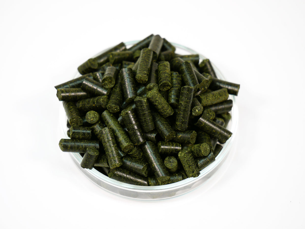 GARNELEN4YOU® Neo Algen Sticks 30g
