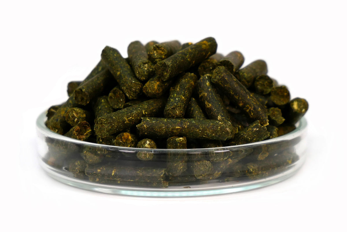GARNELEN4YOU® Planty Sticks 30g