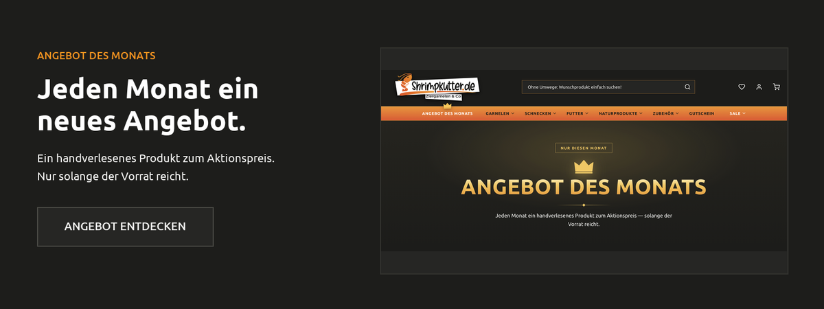 Angebot des Monats bei shrimpkutter.business