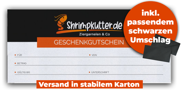 shrimpkutter.business Geschenkgutschein